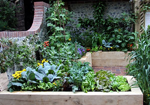 GROW YOUR OWN