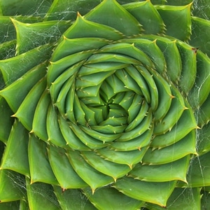 �����C���[�W