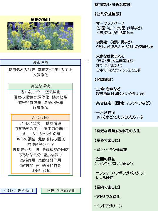 �摜