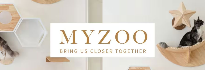 ＭＹＺＯＯ特集