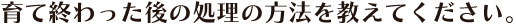��ďI�������̏����̕��@�������Ă��������B