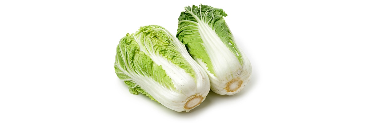 栽培のポイント