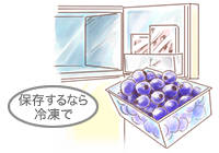 保存するなら冷凍で