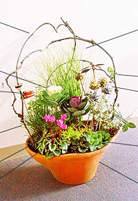 大王松と葉ボタンギャザリング