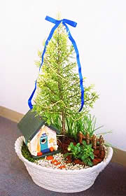 大きな木のある小さなおうち