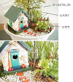 大きな木のある小さなおうち