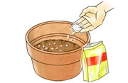 肥料を加える