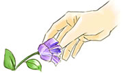 花がら摘み