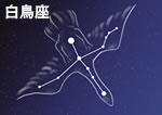 �摜