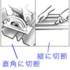 �摜