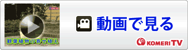 動画を見る
