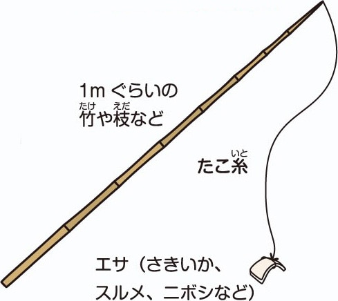仕掛け