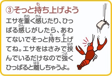釣り方