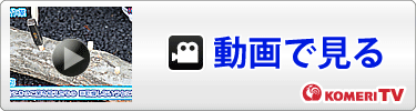 動画を見る