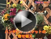ハンギングバスケットの寄せ植え