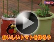 おいしいトマトを作ろう