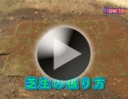 芝生の張り方