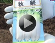 種の撒き方