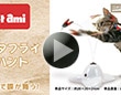 Petami　バタフライハント