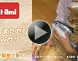 Petami　猫用またたびぐるみサケ
