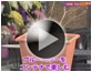 第5回 ブルーヘ゛リーをコンテナで楽しむ
