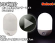 �R���Z���g���l�����Ã��C�gFG-22034J