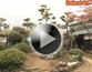 ��29��@�Z�}�Ԓ�؂̎����T�[�r�X