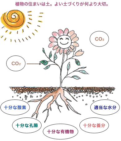�A���̏Z�܂��͓y�B�悢�y�Â��肪������B