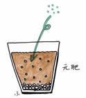 �摜
