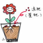 �摜
