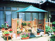 �ʐ^