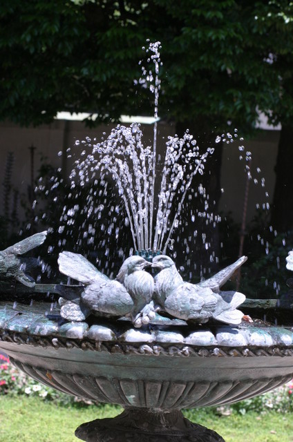 �ʐ^