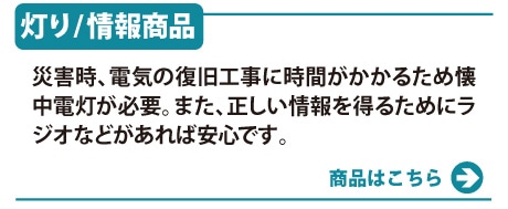 �������񏤕i
