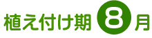 植え付け期 8月