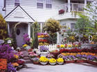 �ʐ^