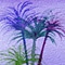 �G�߂̐A������