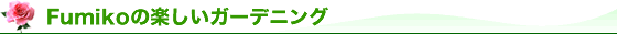 Fumiko�̊y�����K�[�f�j���O