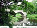 �摜