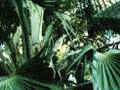 �ʐ^