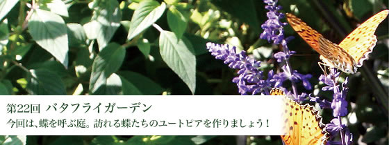 ��22�� �o�^�t���C�K�[�f��