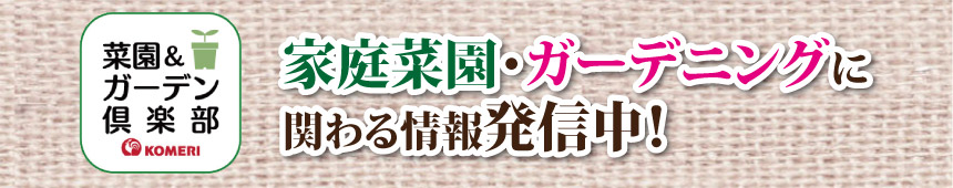 菜園＆ガーデン倶楽部