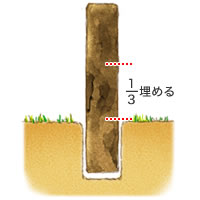 1/4～1/3くらい埋める