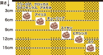 置き場所