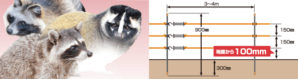 小動物（3段）