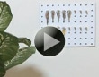 有孔ボードで作る鍵収納ボードの作り方