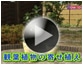 第14回 観葉植物の寄せ植え