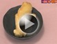 第23回 ショウカ゛の育て方