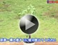 第26回 バラの植え方
