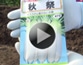 第40回 種の撒き方方