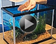 初めてのお魚飼育 ~水槽の準備~